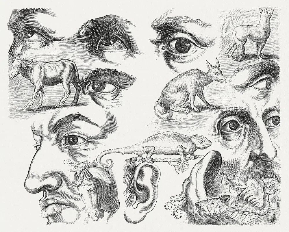 Studieblad met tekenvoorbeelden: ogen, koppen. poster — fine-art art