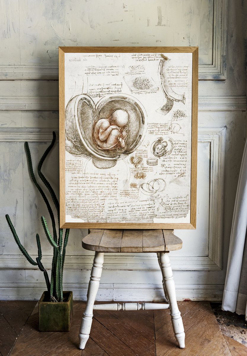Leonardo da Vinci 's Studies. room preview