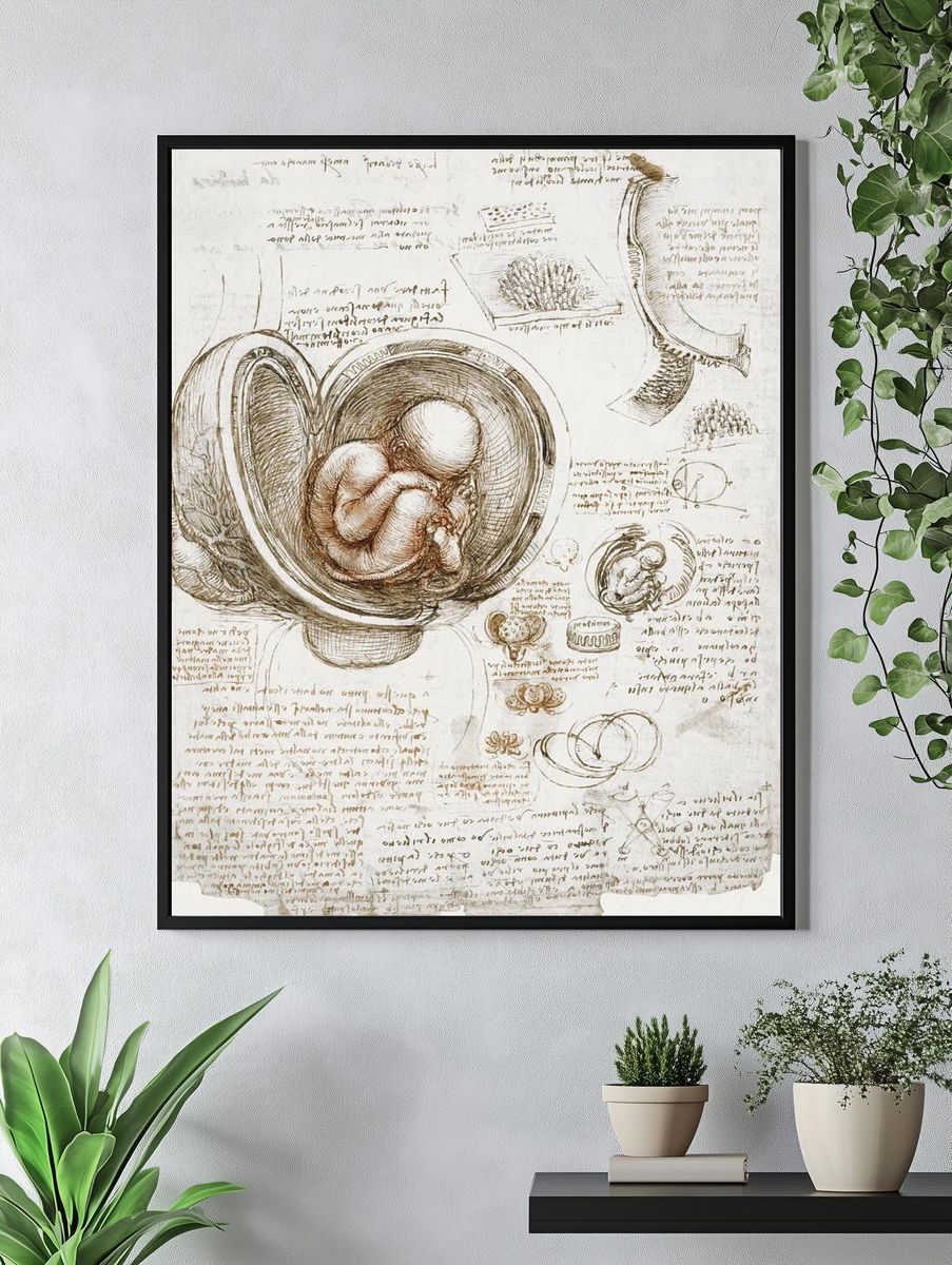 Leonardo da Vinci 's Studies. — room view 4