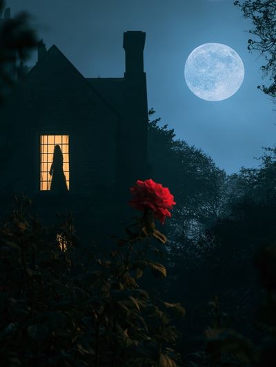Moonlit House with Red Rose Poster. poster