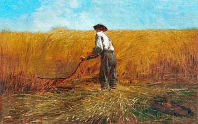 Veteran New Field (1865) Winslow. poster print