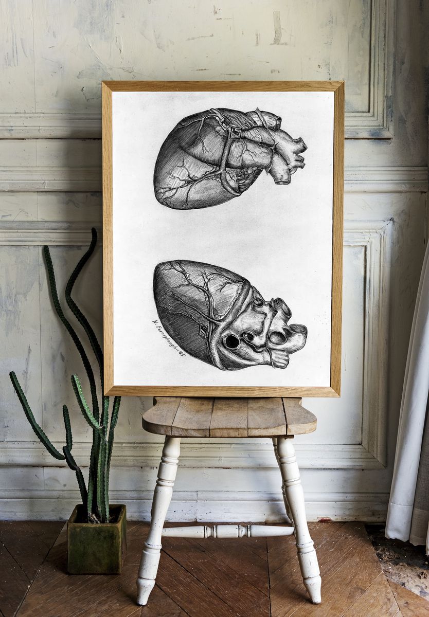 Drawing heart (1945) N. Ferneyhough. room preview