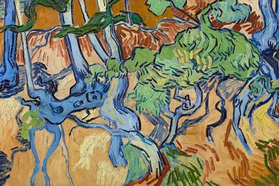 Vincent van Gogh 's Tree.