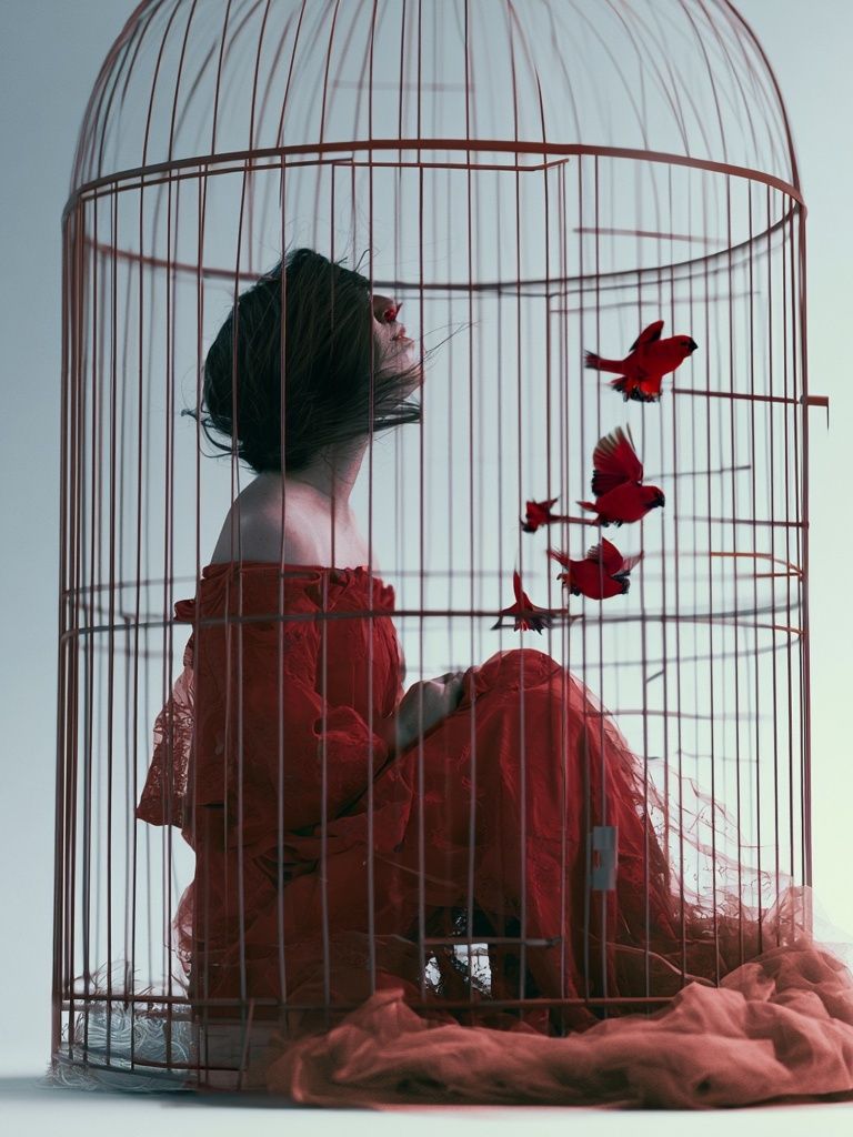 Birdcage Woman Surrealism Print. poster — fine-art art