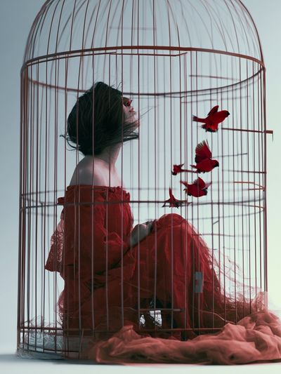 Birdcage Woman Surrealism Print. poster