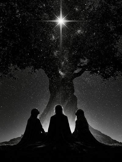 Celestial Tree Silhouette Print. poster
