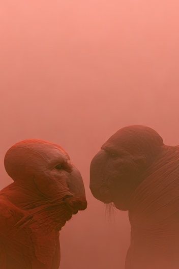 Red Monks in Mist Poster. poster detail