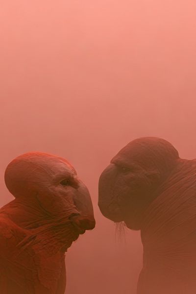 Red Monks in Mist Poster.