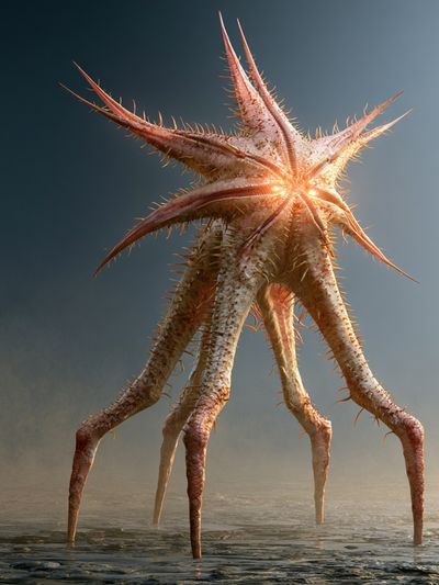 Surreal Sea Star Print.