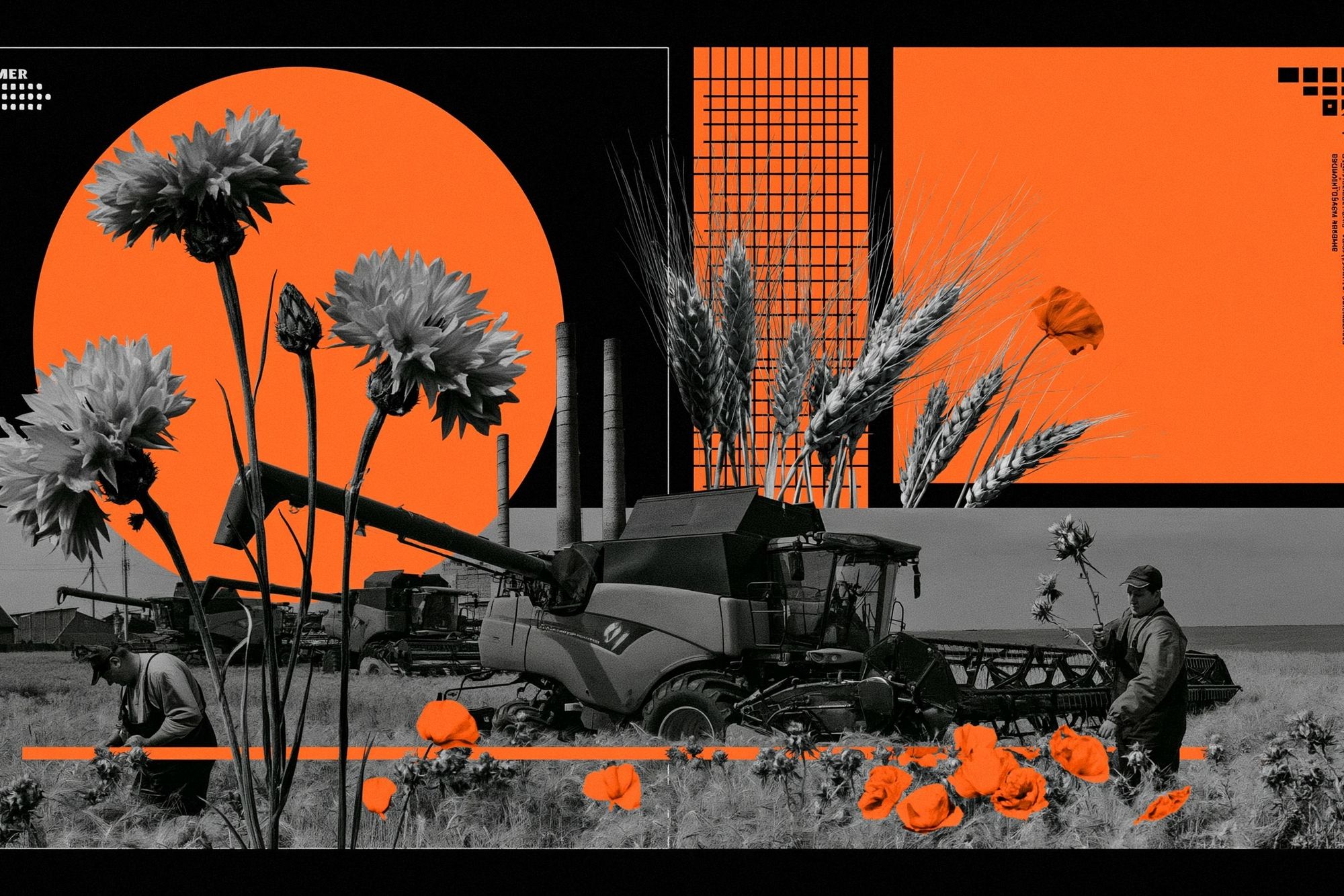 Harvest Summer Collage Poster. poster — fine-art art