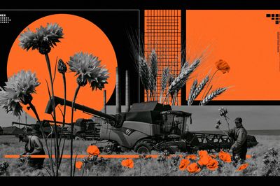 Harvest Summer Collage Poster.
