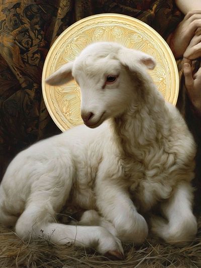 Sacred Lamb Fine-Art Print. poster