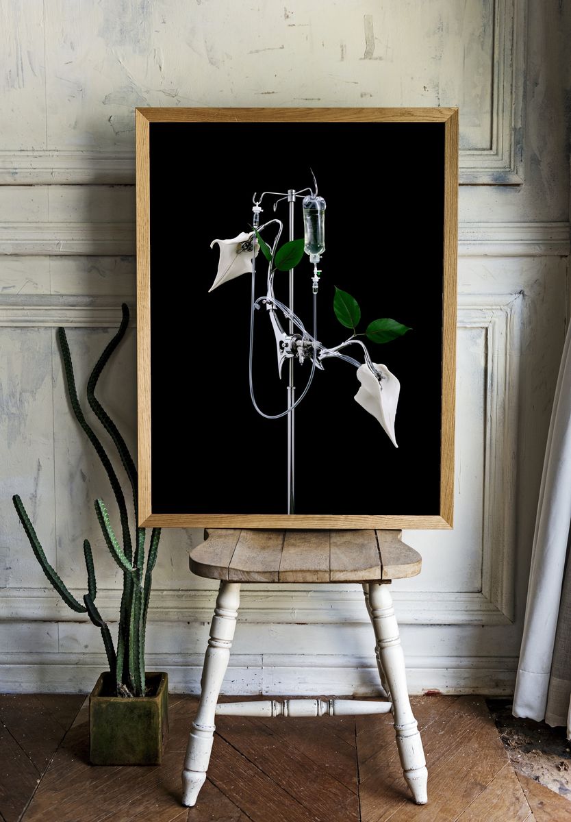 Surreal IV Plant Still Life Poster. — room view 1