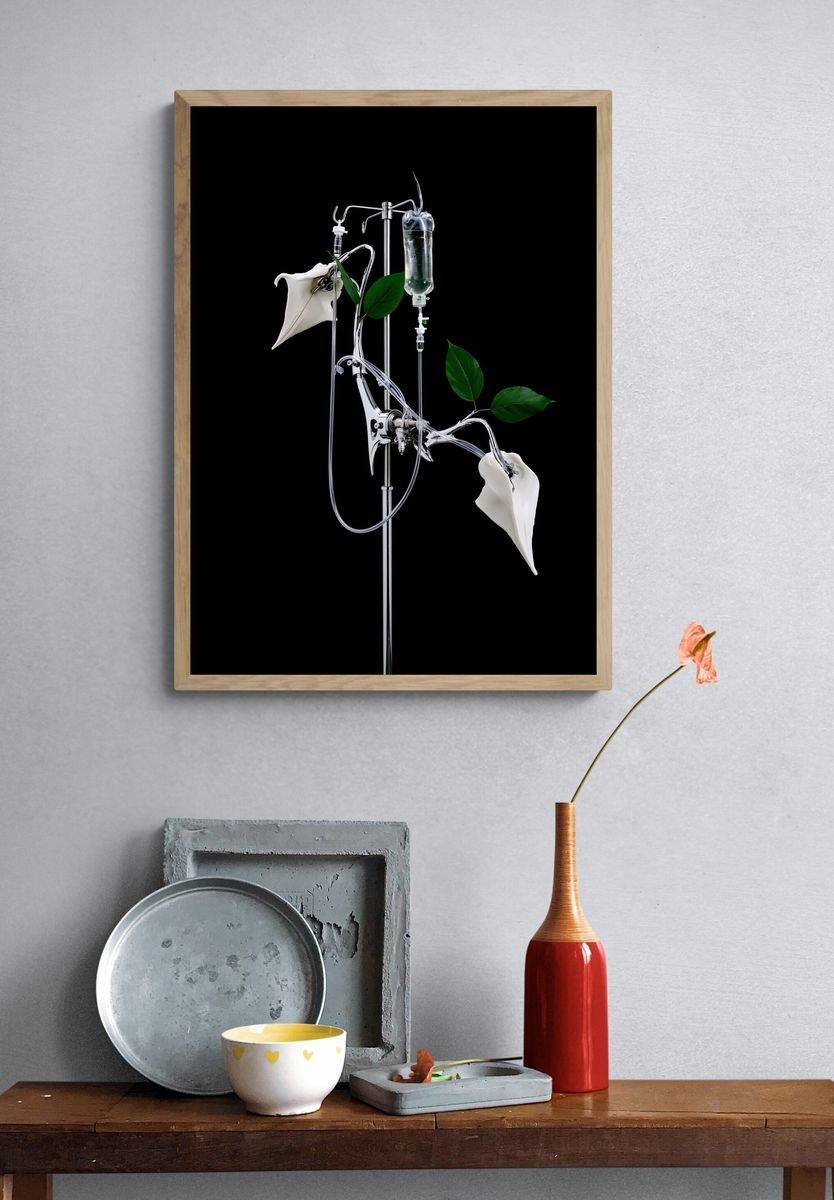 Surreal IV Plant Still Life Poster. — room view 3