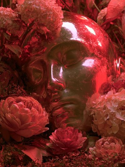 Floral Dreamscape Fine-Art Print.