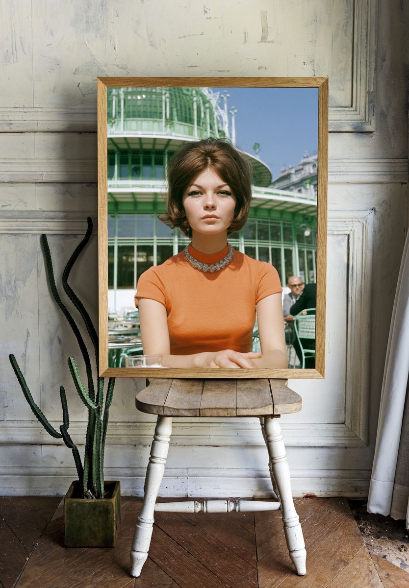 Retro Fashion Portrait Poster. — room view 1