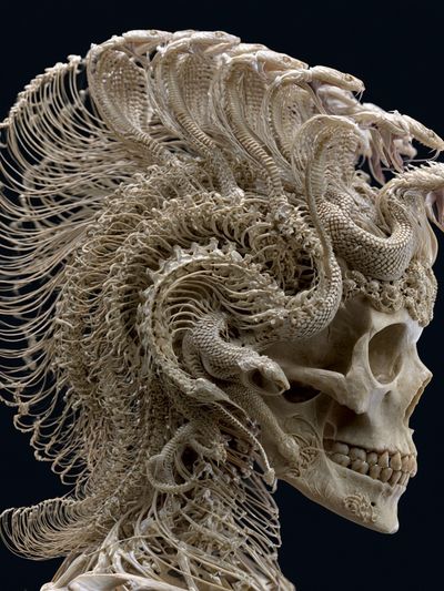 Serpent Skull Surrealism Print.