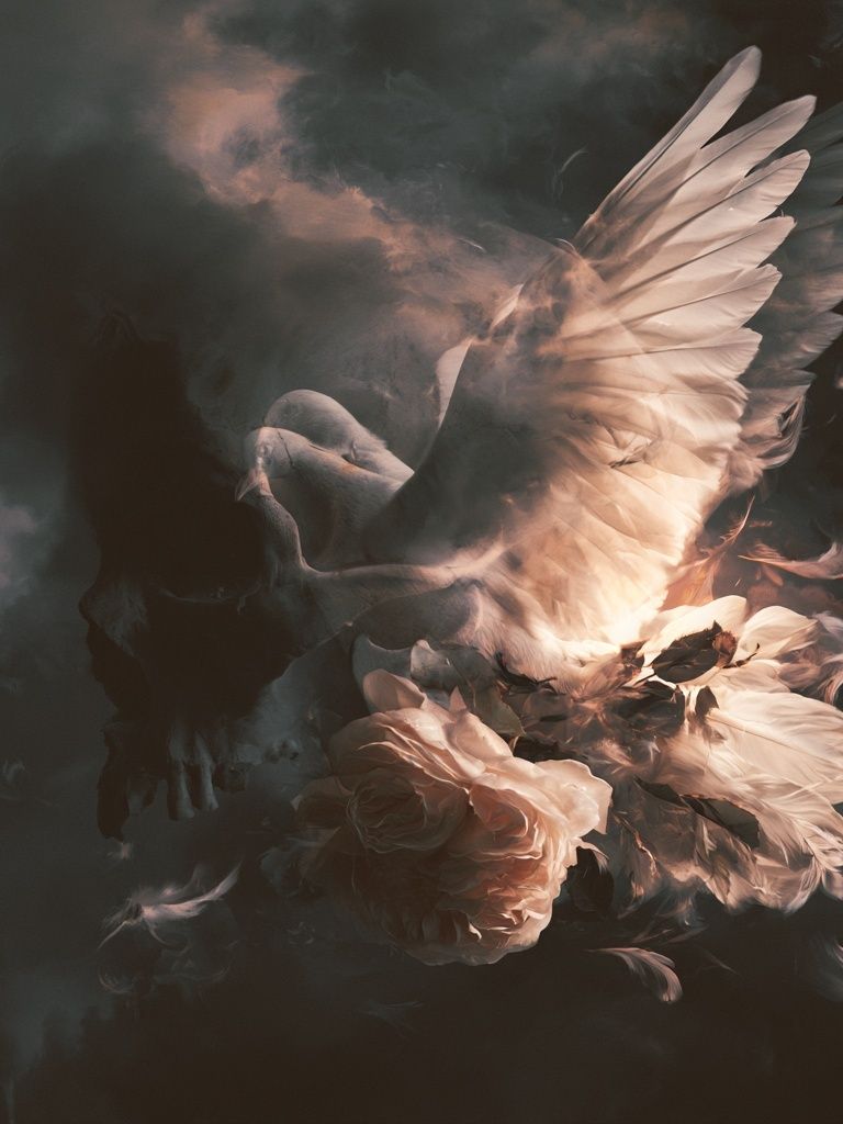 Dove and Roses Surrealism Poster. poster detail