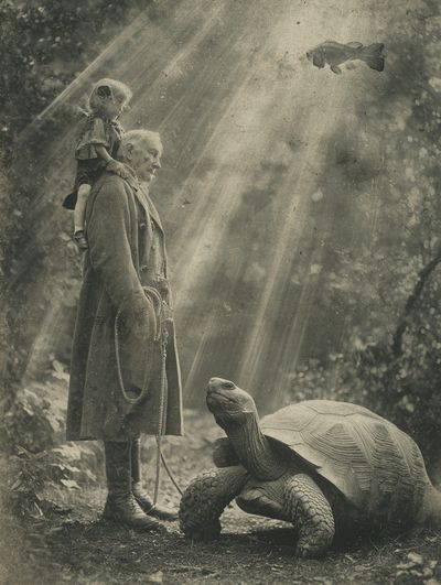 Surreal Forest Encounter Print.