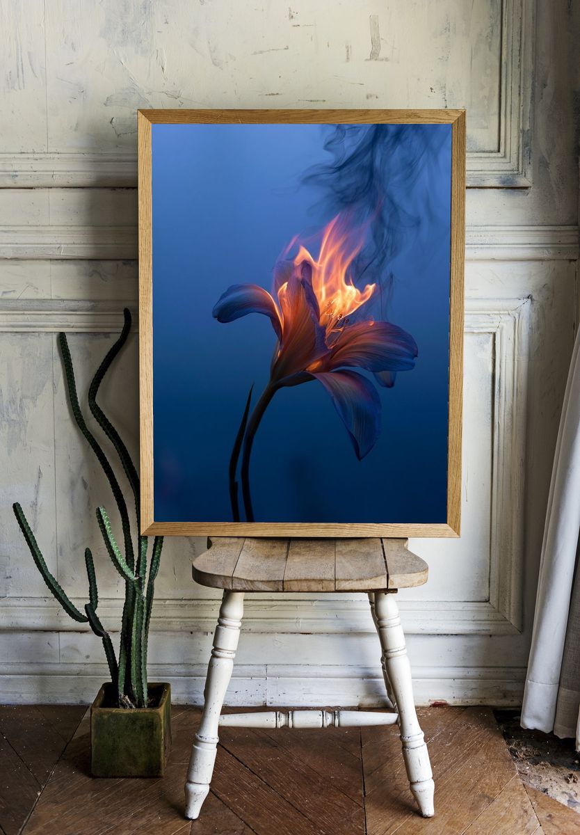 Burning Lily Surrealism Print. — room view 1
