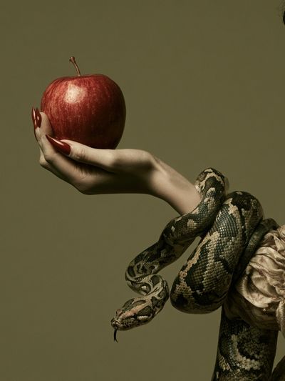 Snake and Apple Surrealism Print.