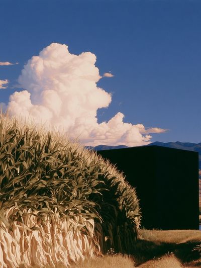 Surreal Cornfield Landscape Print. poster