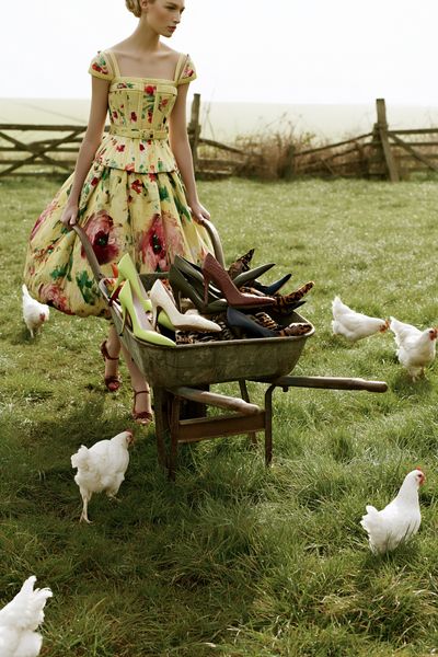 Fashion Garden Wheelbarrow Poster.