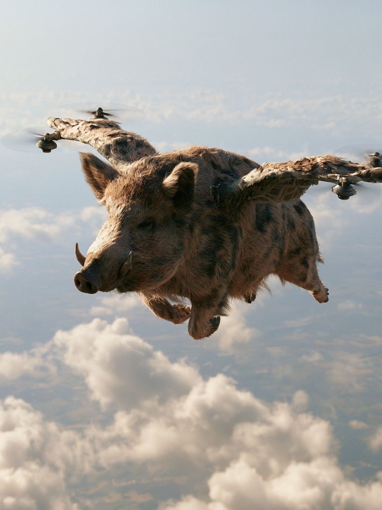 Flying Boar Surrealism Print. poster detail