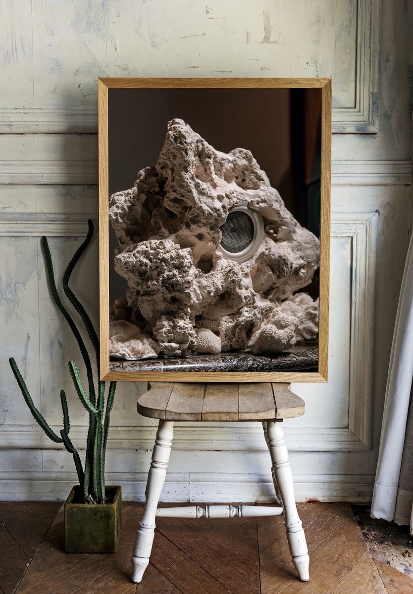 Coral Speaker Sculpture Print. room preview