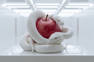 White Snakes and Red Apple Print.