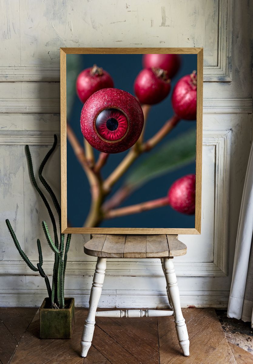 Surreal Pomegranate Eye Print. room preview