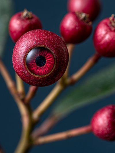 Surreal Pomegranate Eye Print. poster