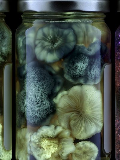 Bioluminescent Mushroom Jars Print.