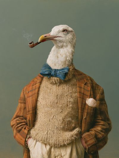 Seagull Gentleman Surrealism Print.