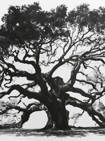 Ancient Tree Ink Poster.
