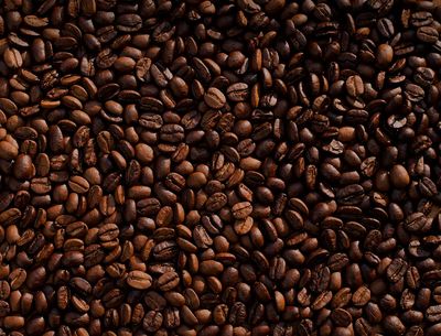 Coffee bean lot. poster