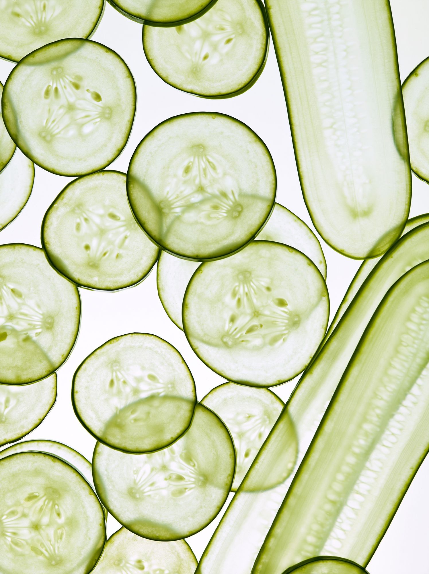 Cucumber Slices Botanical Print. poster — food-drink art