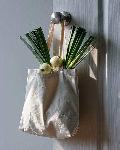 Minimalist Grocery Bag Still Life Poster. poster