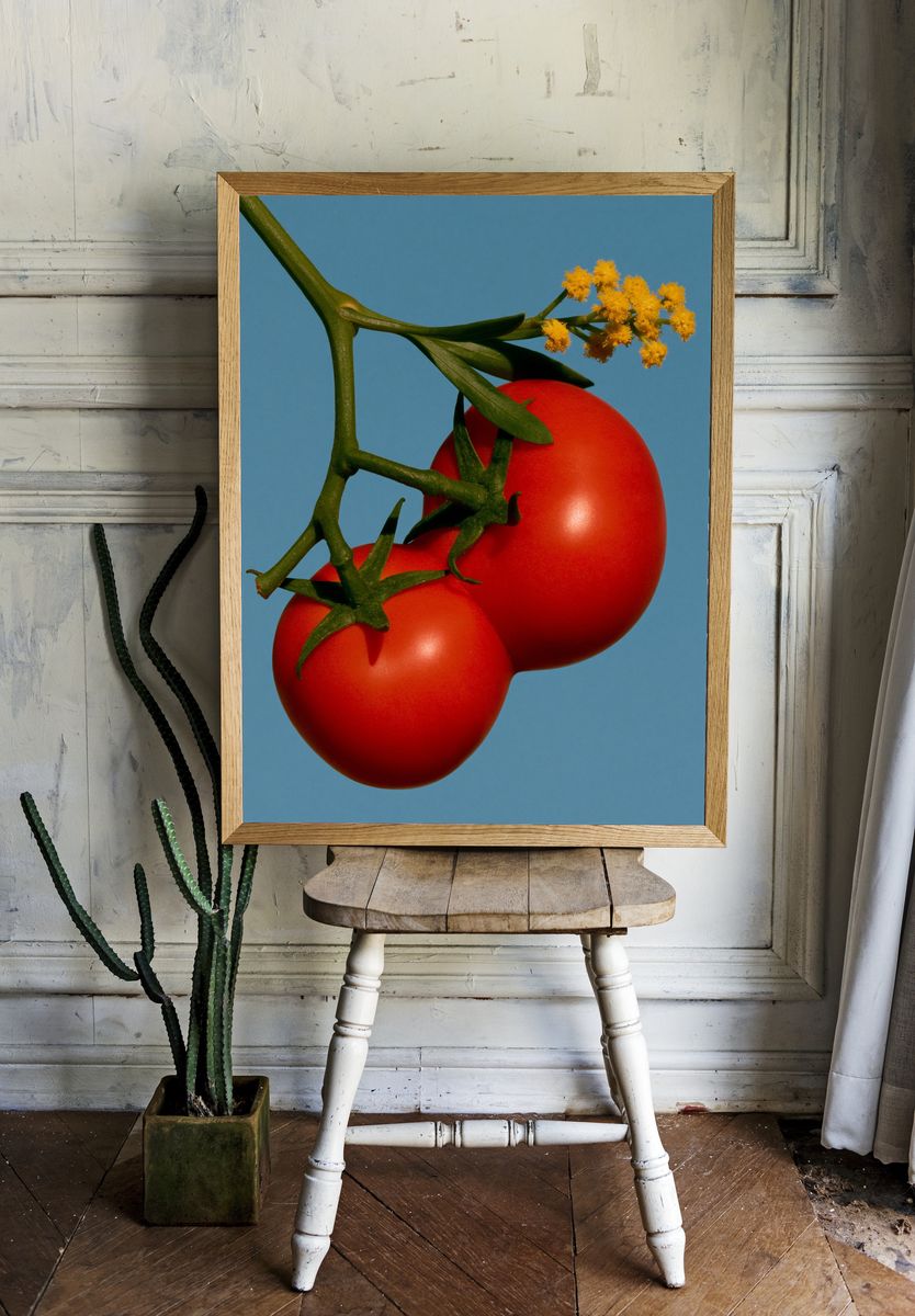 Tomato Still Life Photography Poster. room preview