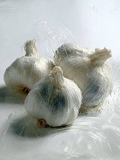 Garlic Still Life Photography Poster.