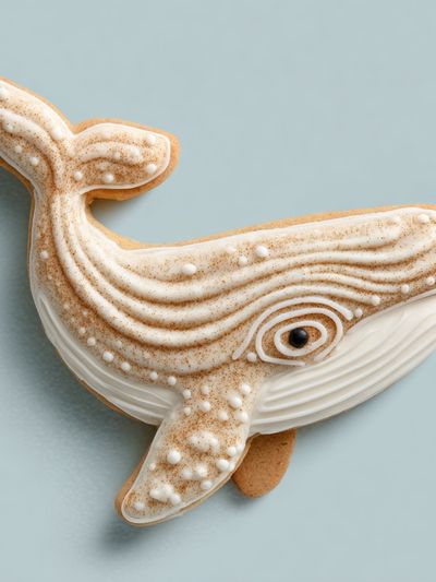 Whale Cookie Illustration Poster.