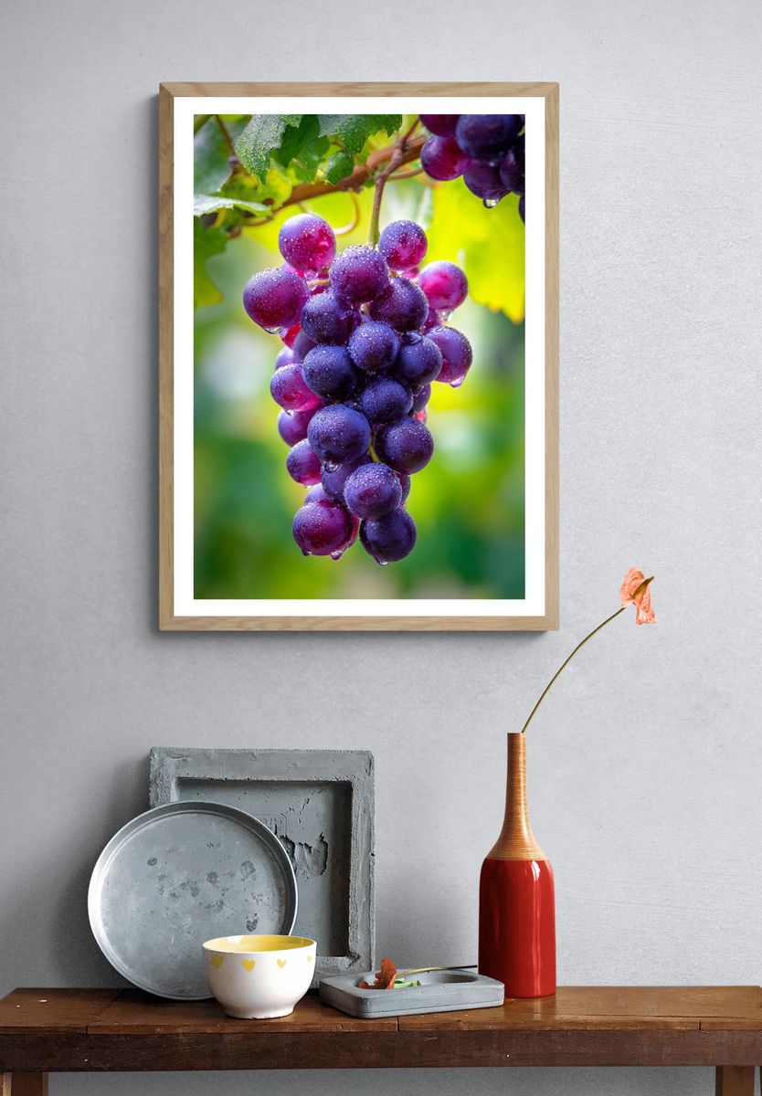 Fresh Grapes — Food Photography Print. — room view 3
