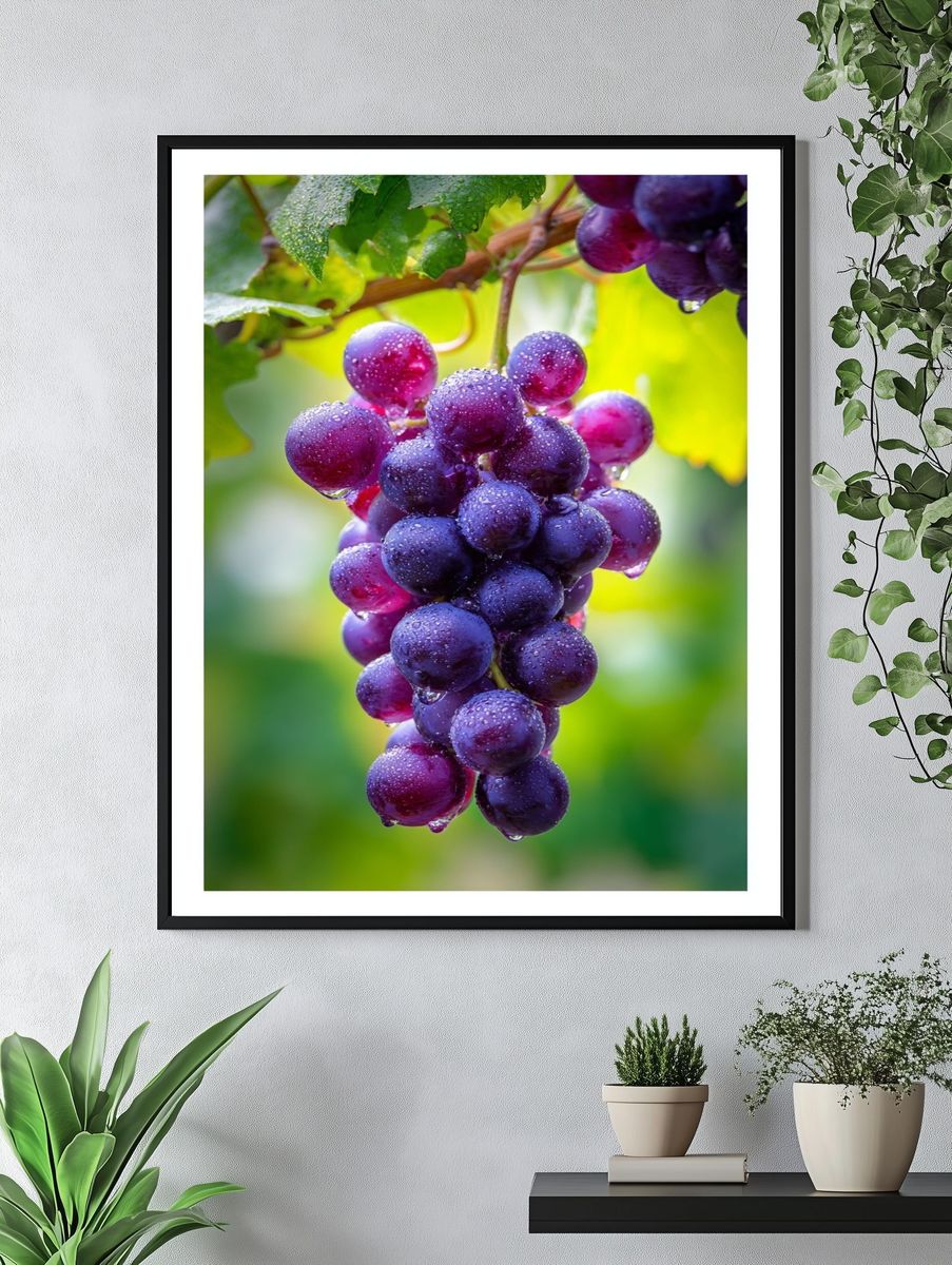 Fresh Grapes — Food Photography Print. — room view 4