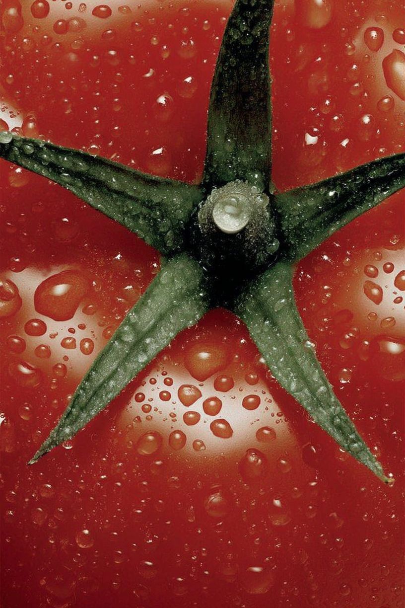 Fresh Tomato — Food Photography Print. poster — food-drink art