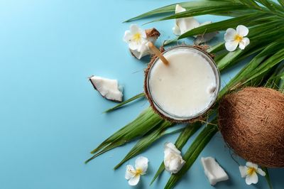 Tropical Coconut Still Life Poster