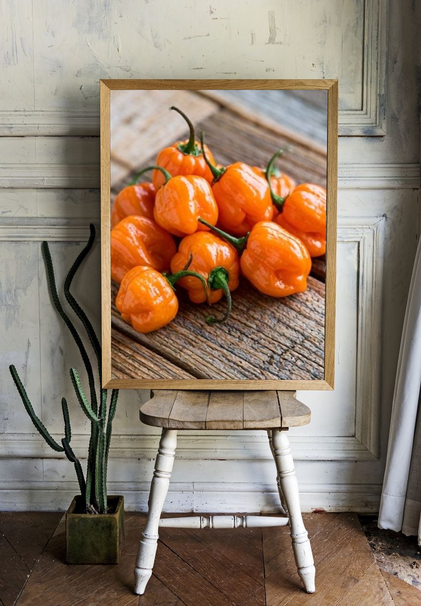 Orange Habanero Peppers Photography Poster. room preview