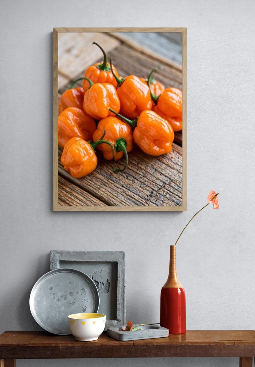 Orange Habanero Peppers Photography Poster. — room view 3