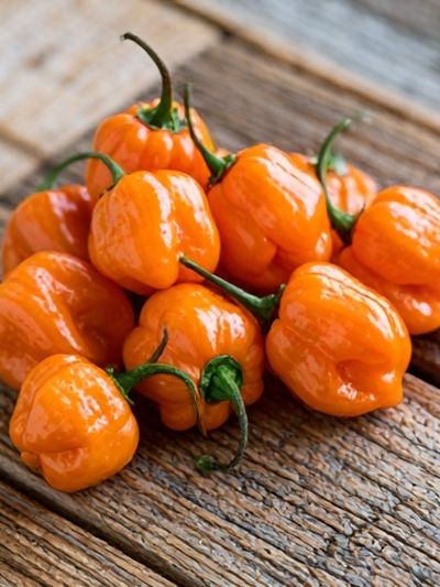 Orange Habanero Peppers Photography Poster.