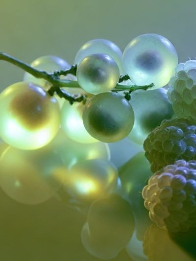 Glowing Grapes Still Life Print.