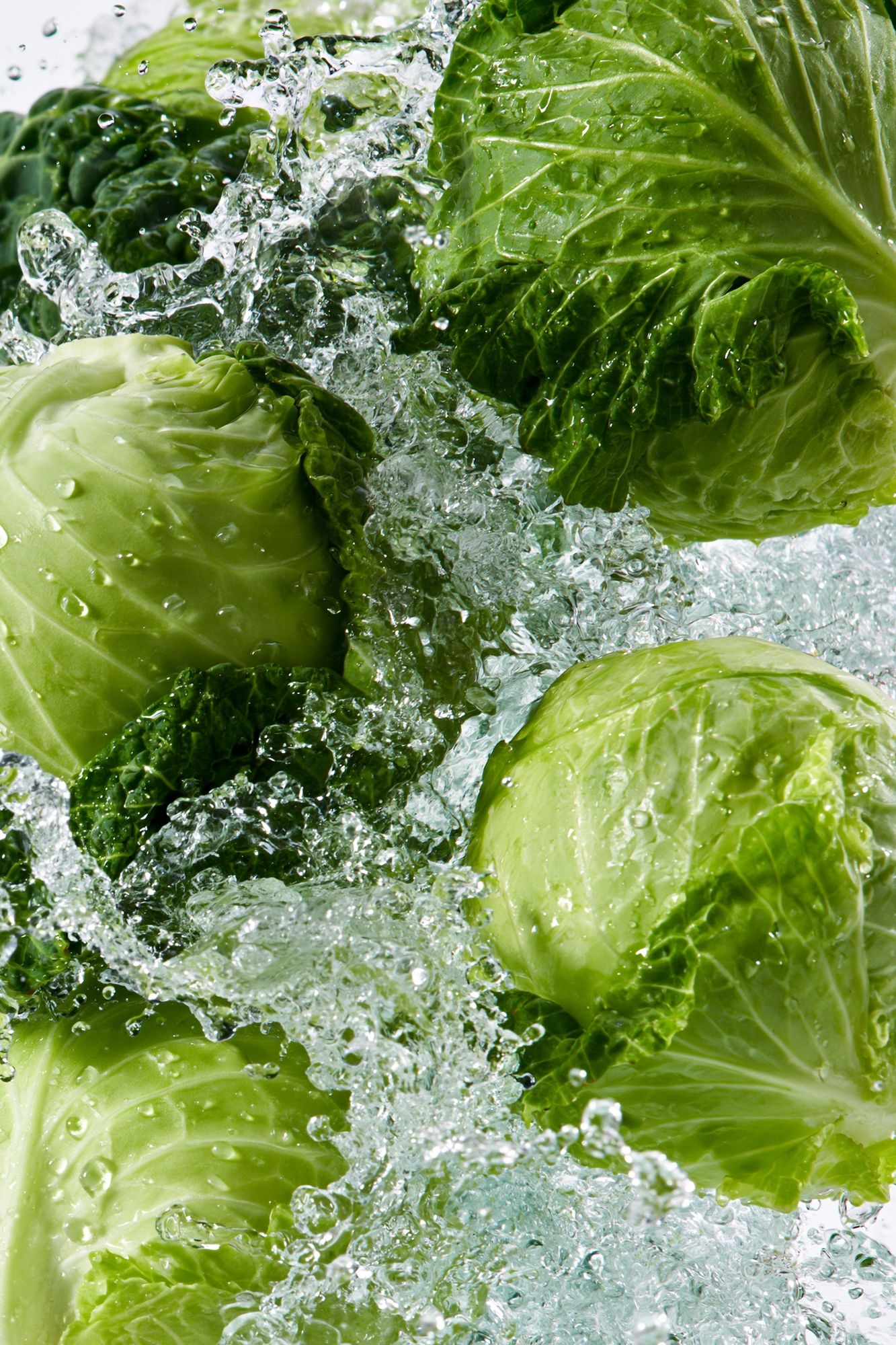 Fresh Cabbage Splash Photography Poster. poster detail